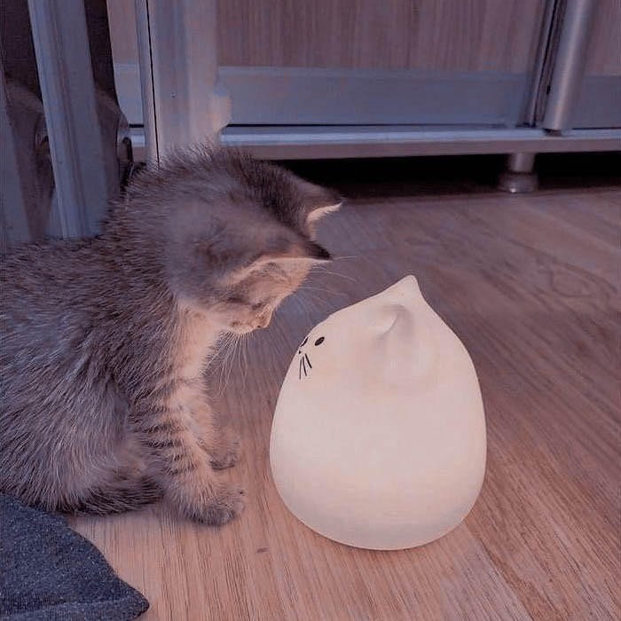 Avatar động vật cute vô tri