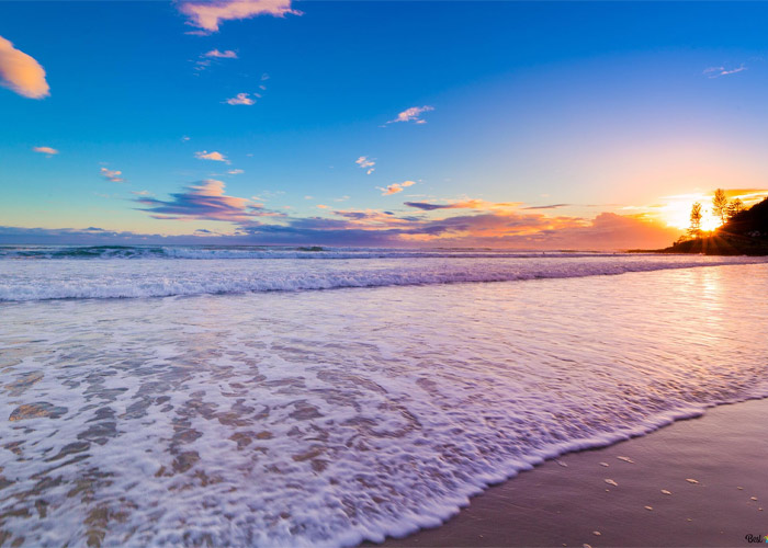 ảnh biển hawaii