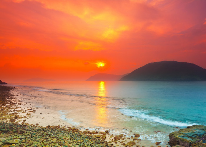 ảnh biển và hoa