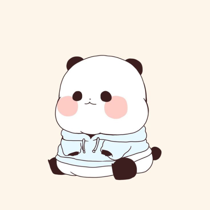 Ảnh đại diện gấu trúc
