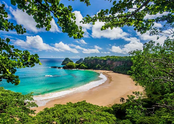 ảnh sao biển trên bãi cát