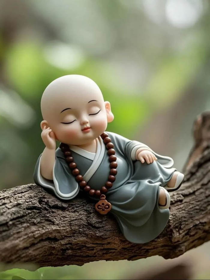 avatar chú tiểu đội nón lá