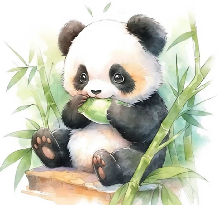 avatar đôi gấu trúc