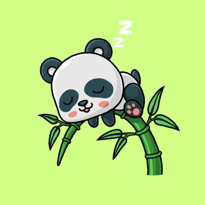 avatar gấu trúc lười