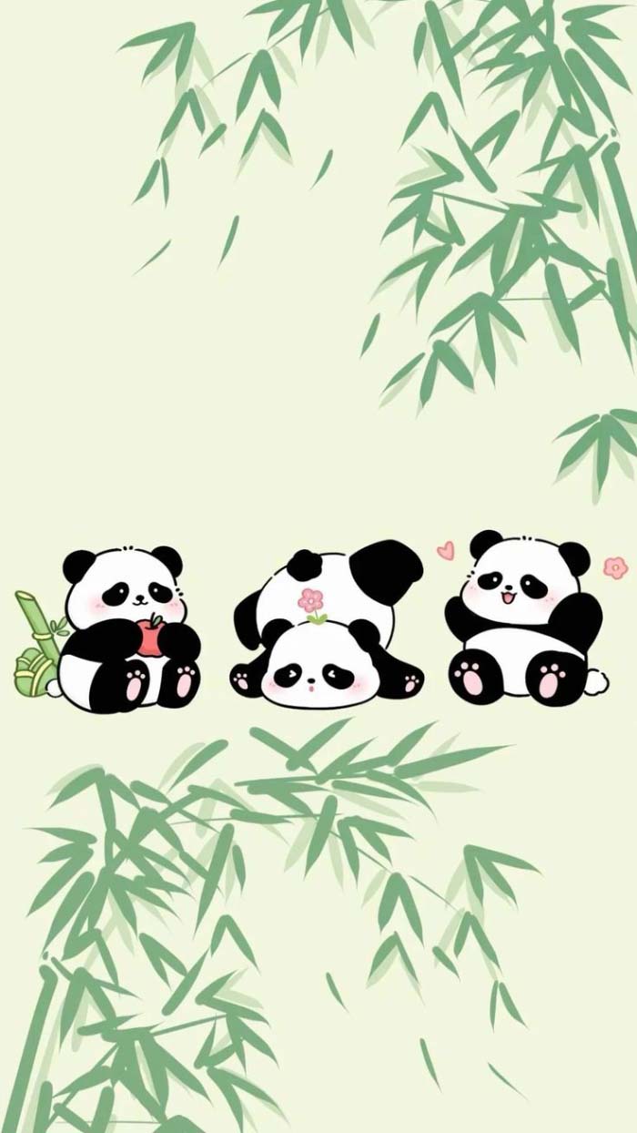 avatar gấu trúc uống trà