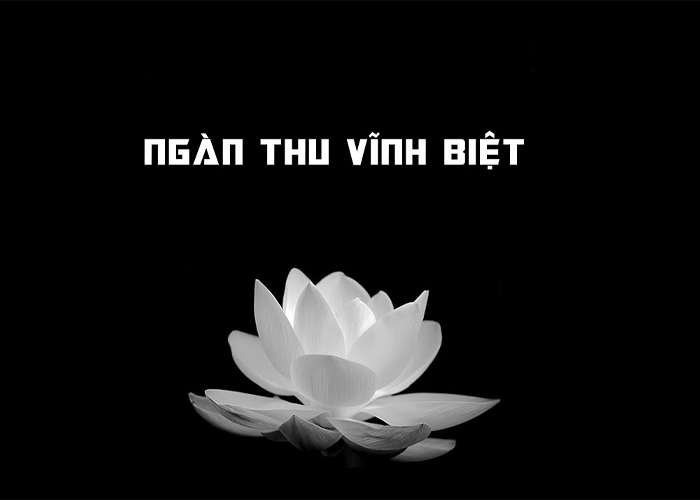 Hình ảnh avatar hoa sen đen kèm lời tưởng niệm