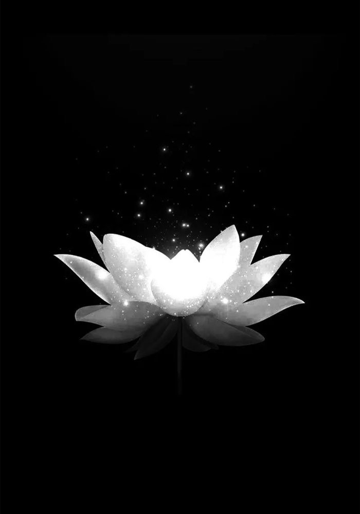 Avatar hoa sen đen trong mưa