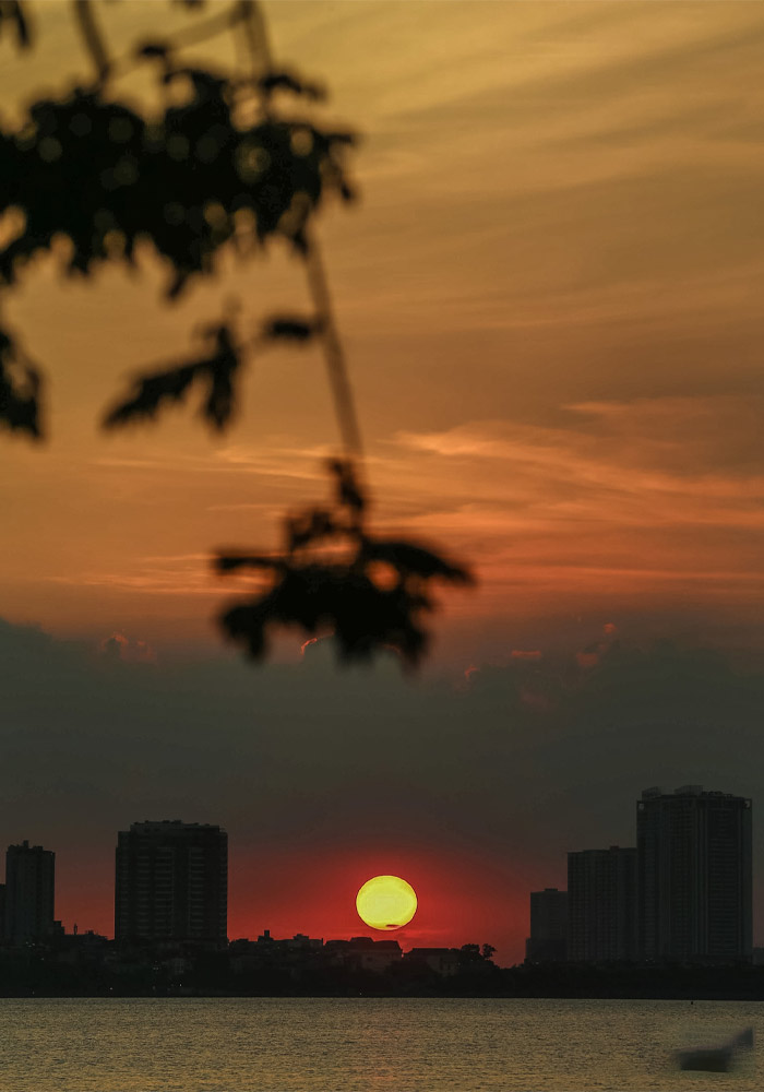 avatar hoàng hôn và chó dễ thương