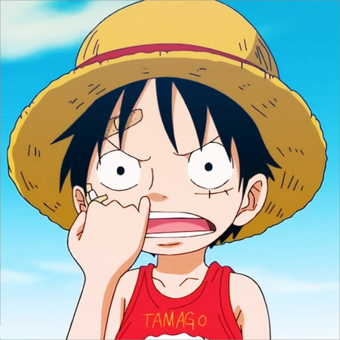 Luffy thuyền trưởng băng Hải Tặc Mũ Rơm nhân vật hoạt hình được yêu thích