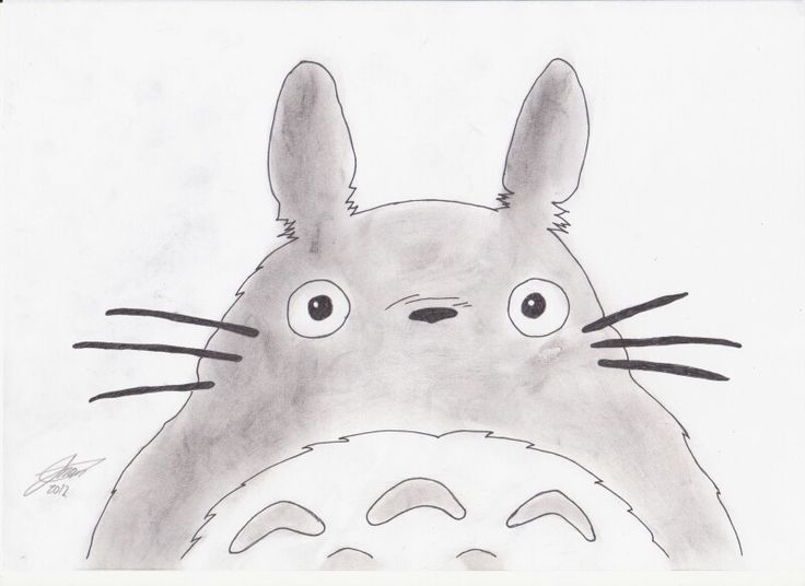 avatar xám totoro