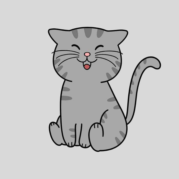 avatar xám mèo