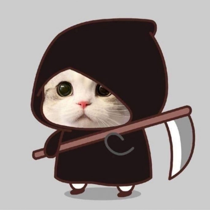 Avatar xàm động vật đội nón