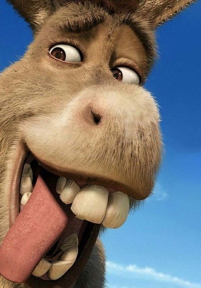 Avatar xàm động vật ngáo ngơ