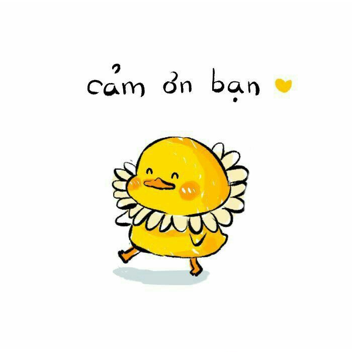 Ảnh chú vịt cảm ơn