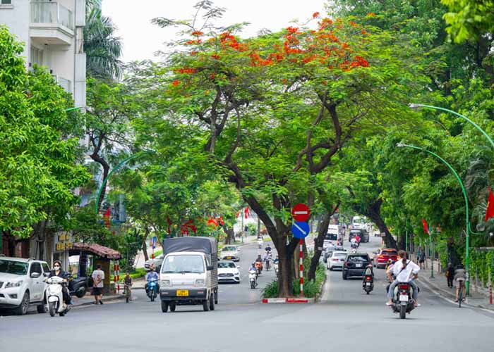 Ảnh đường phố đông