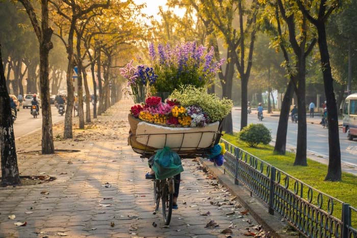 Ảnh Hà Nội lãng mạn