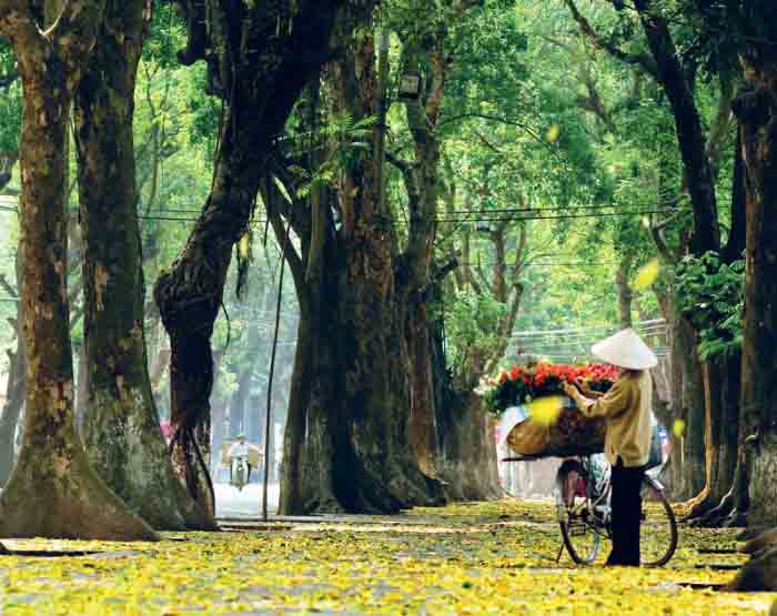Ảnh Hà Nội mùa thu