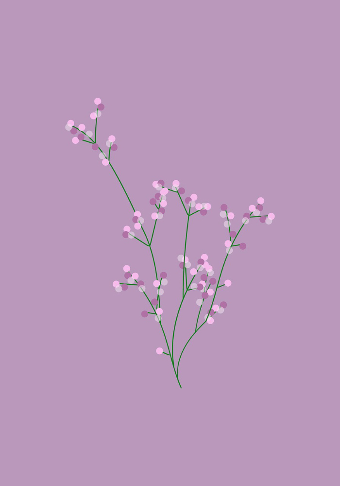 Ảnh tím sao