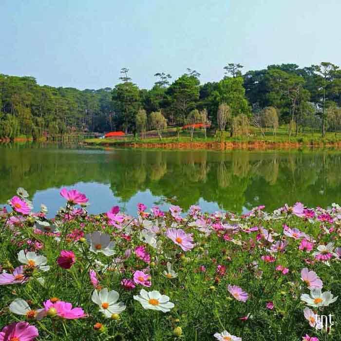 ảnh Đà Lạt
