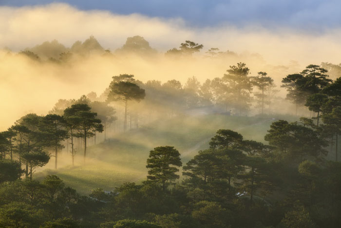 ảnh Đà Lạt