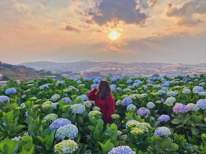 ảnh Đà Lạt
