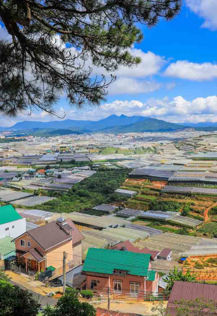 ảnh Đà Lạt