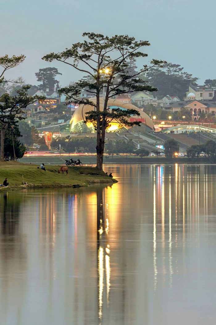ảnh Đà Lạt chè