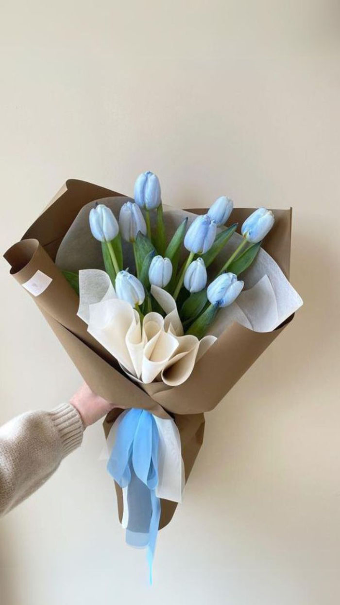 Ảnh hoa tulip mùa hè
