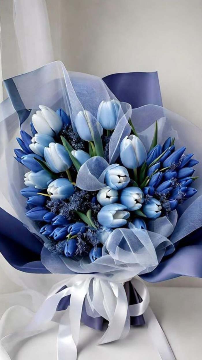 Ảnh hoa tulip