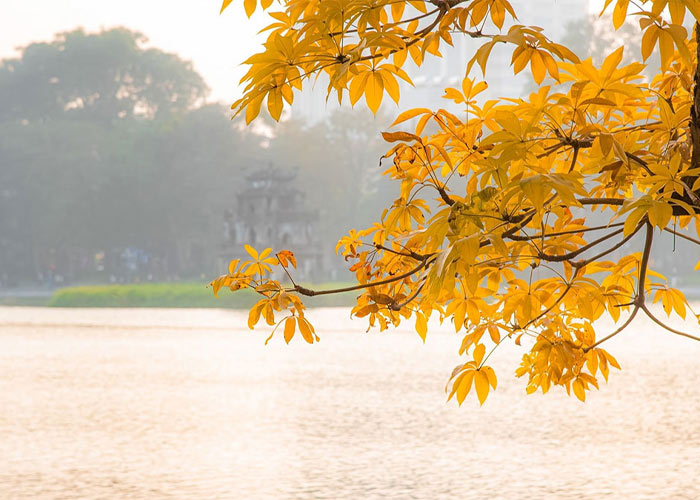 Ánh nắng cuối chiều mùa thu