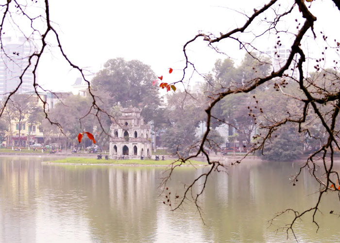 Hàng cây ven hồ gươm mùa thu