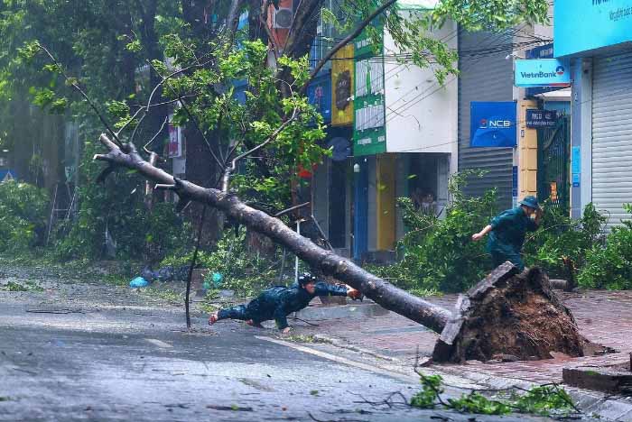 Hình ảnh bão và cảnh vật bị tàn phá