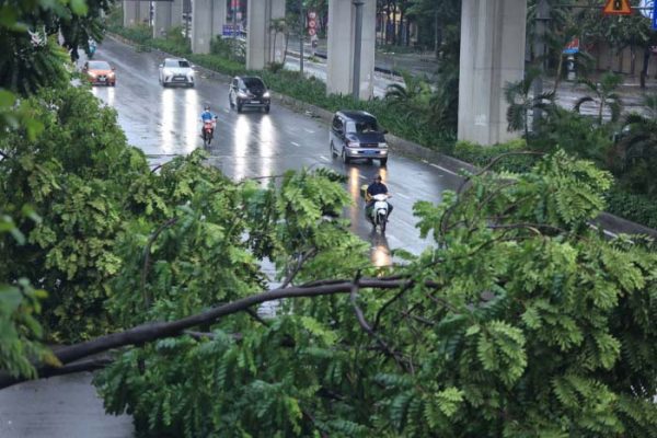 Hình Ảnh Bão Mạnh Gây Cảnh Báo Toàn Cầu Năm 2025