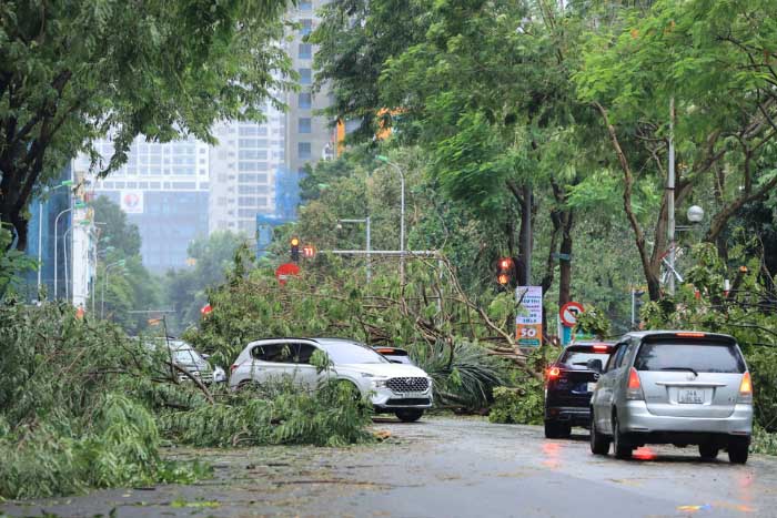 Hình ảnh bão năm 2025