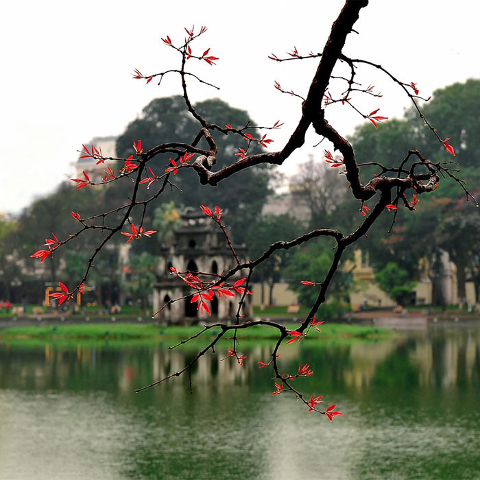 Khung cảnh Hồ Gươm