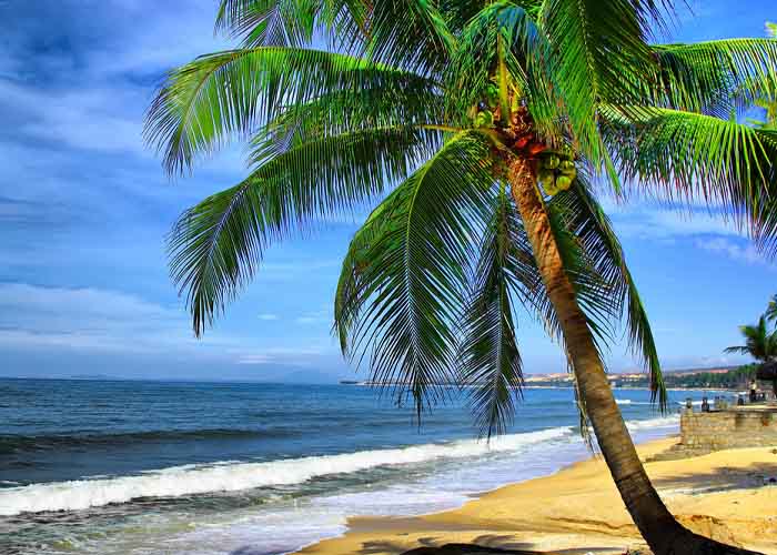 Tắm biển Nha Trang