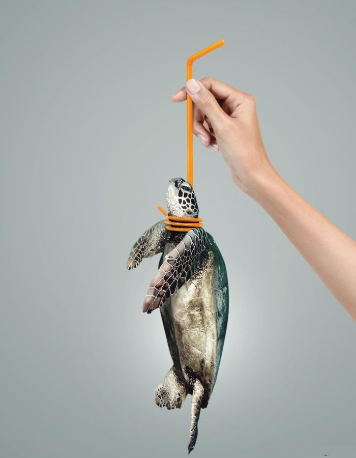 Hãy ngưng vứt rác thải bừa bãi