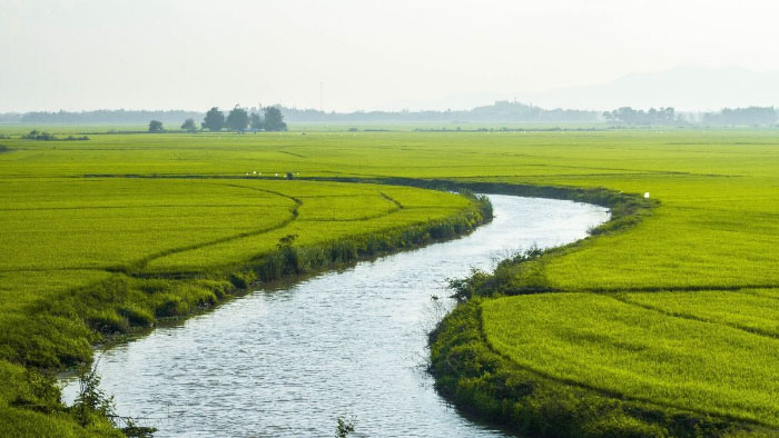 Hình ảnh quê hương