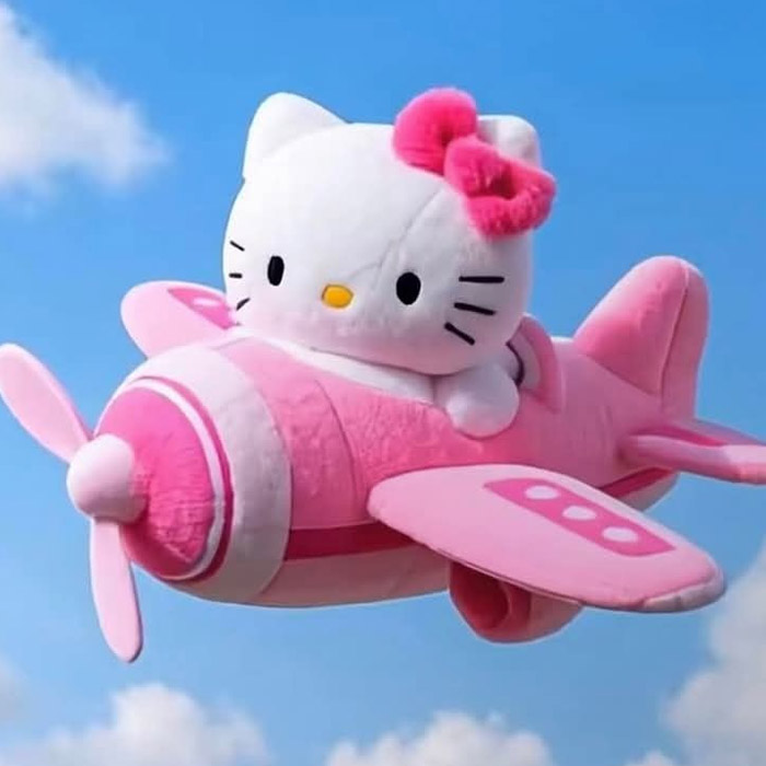 Ảnh mèo Hello Kitty gấu bông