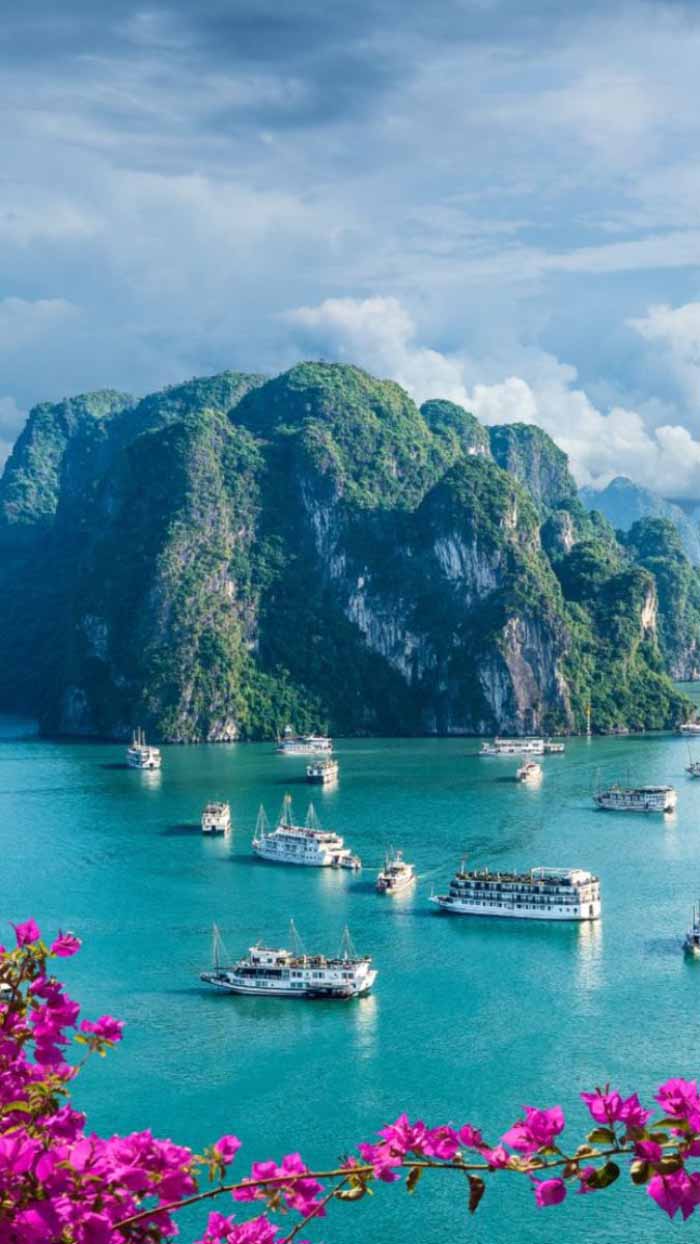 Ảnh vịnh Hạ Long