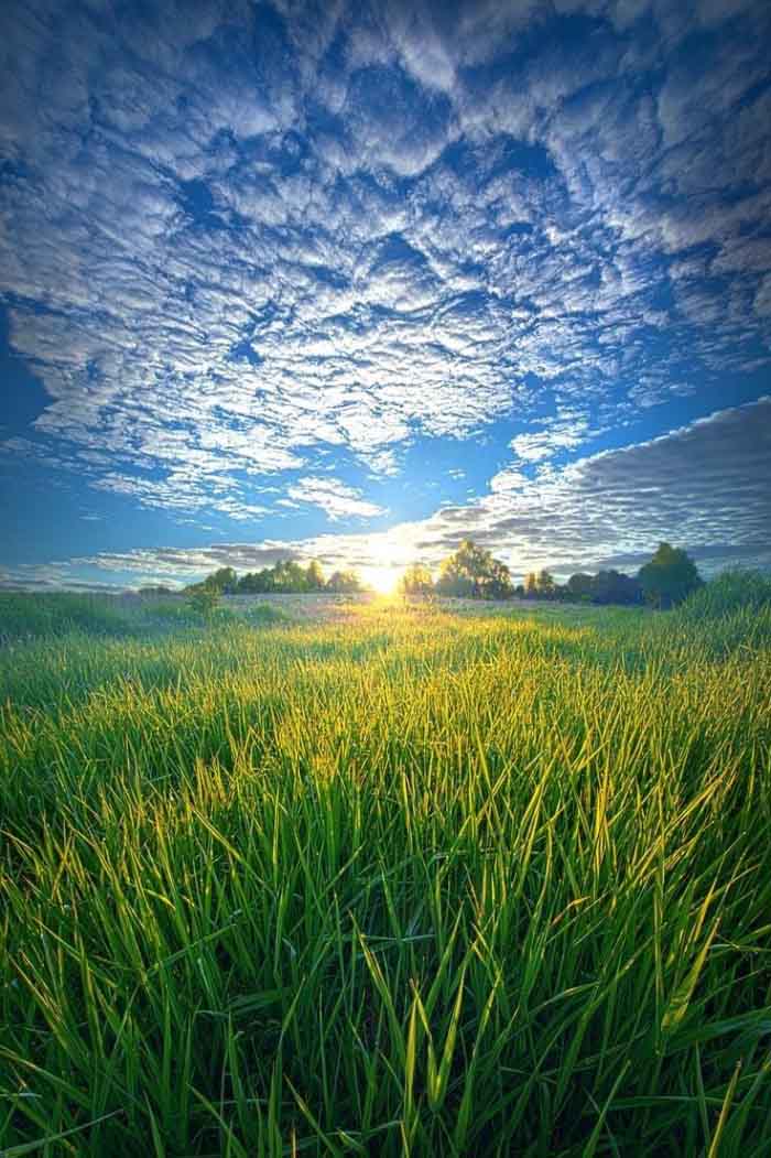 Hình ảnh quê hương