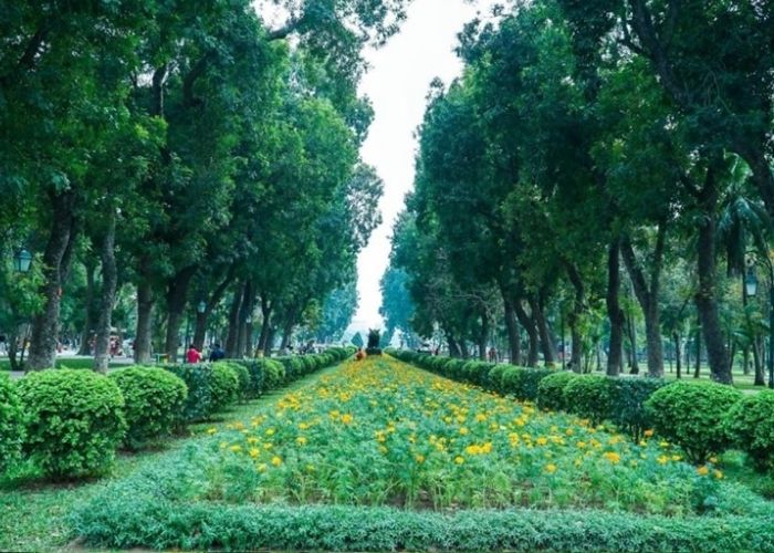 Hình ảnh cây xanh trong đô thị, công viên