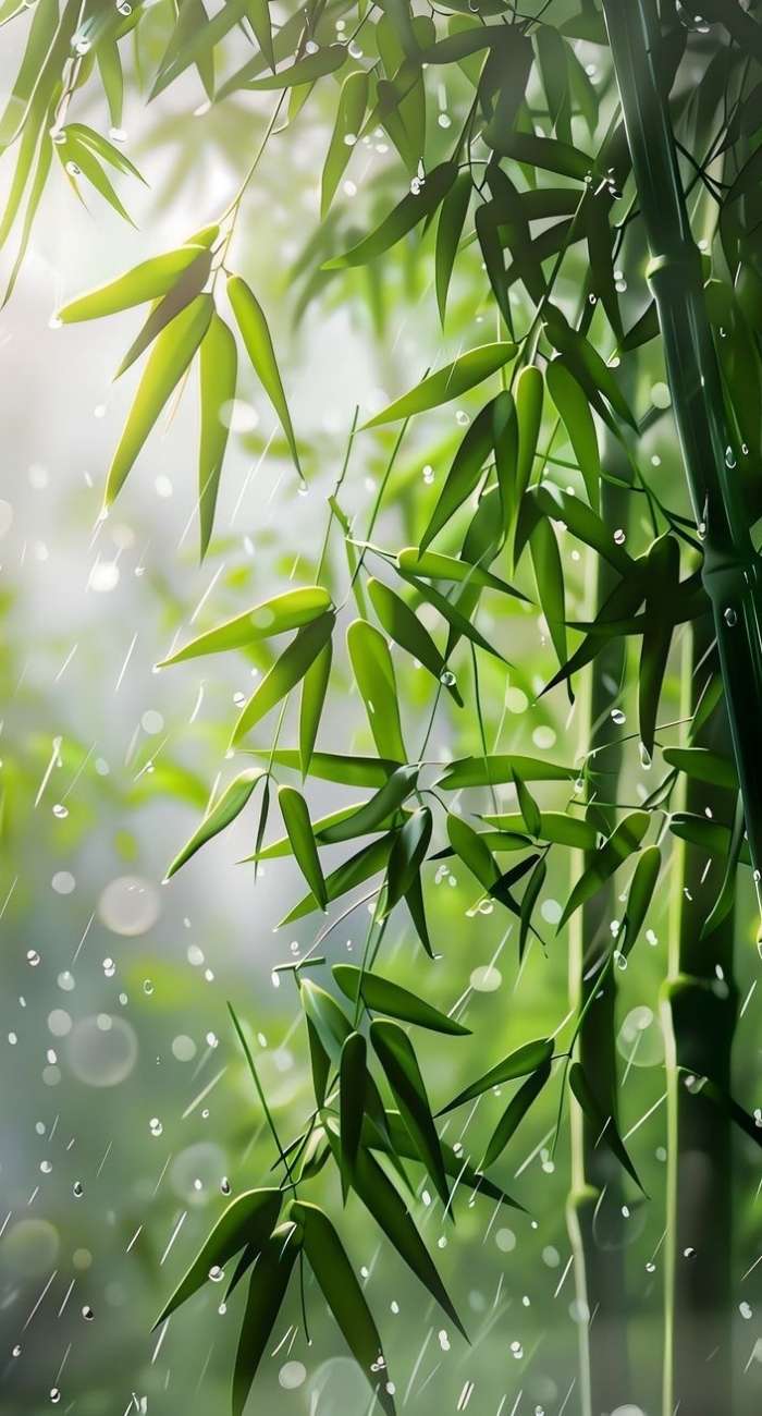 Hình ảnh cây xanh đẹp dùng làm hình nền