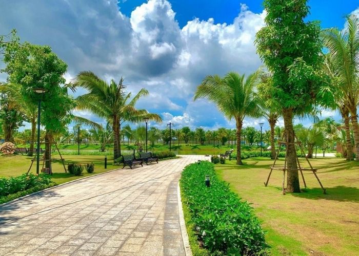 Hình ảnh cây xanh trong đô thị, công viên