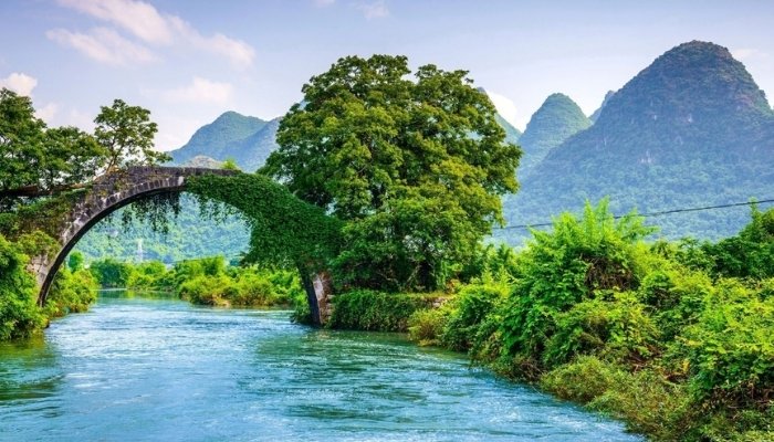 Vai trò của cây xanh trong đời sống con người