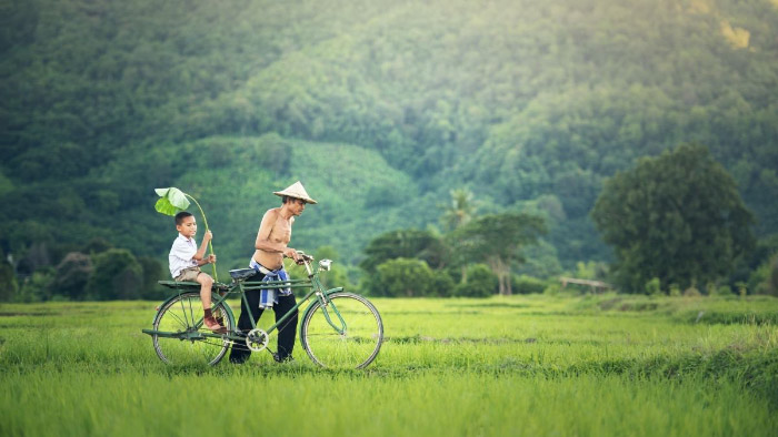 Hình ảnh quê hương trong mưa