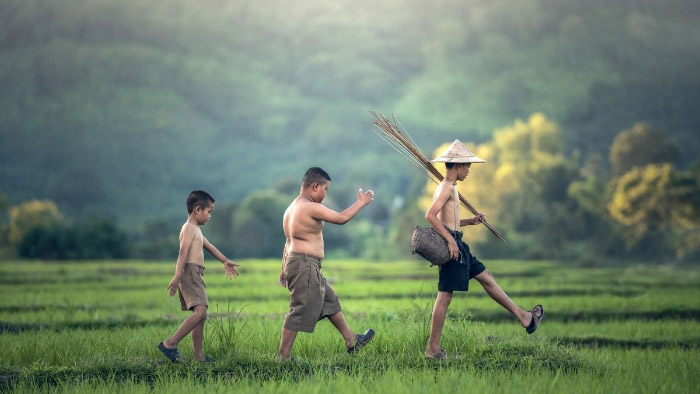 Hình ảnh quê hương với con sông hiền hòa