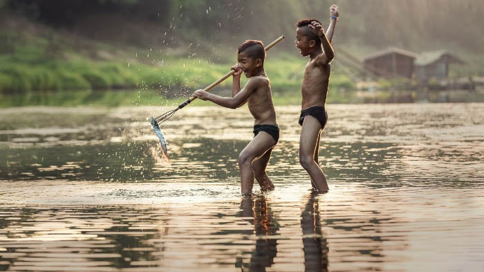 Hình ảnh quê hương với cánh đồng lúa