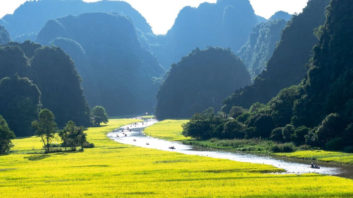 Hình ảnh quê hương