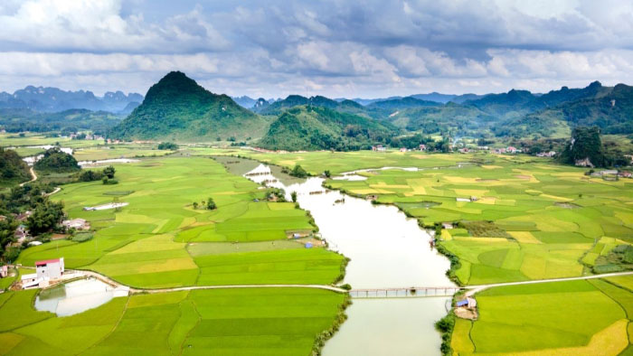 Hình ảnh quê hương